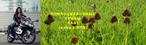 стаф Беломорск
