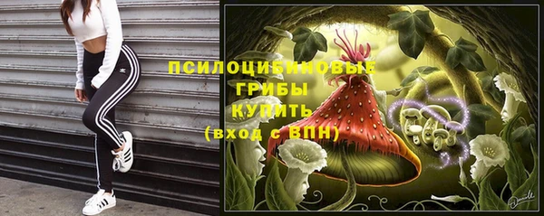 трава Белоозёрский
