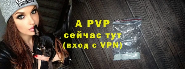 стаф Беломорск