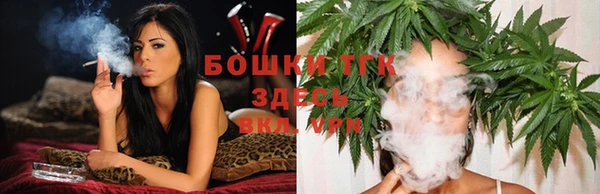 стаф Беломорск